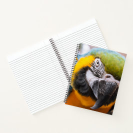 Grüner, blauer und gelber Papagei Notizblock