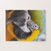 Grüner, blauer und gelber Papagei Puzzle (Horizontal)