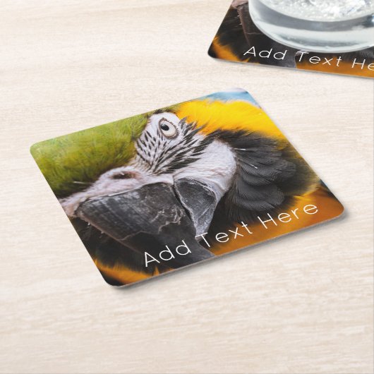 Grüner, blauer und gelber Papagei Rechteckiger Pappuntersetzer (angewinkelt)
