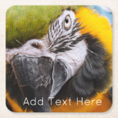 Grüner, blauer und gelber Papagei Rechteckiger Pappuntersetzer (Vorderseite)