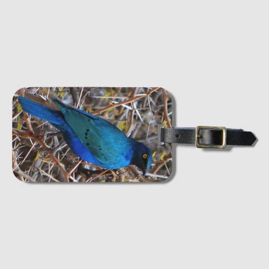 Grüner Blauleng Gepäckanhänger (Vorderseite (Horizontal))