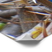 Grüner Blauleng Poster (Ecke)