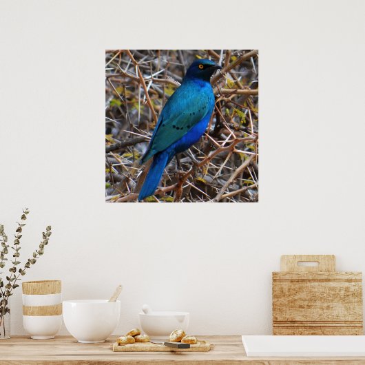 Grüner Blauleng Poster (Küche)