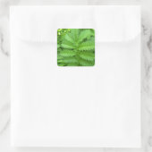Grüner Botanischer Blätter Quadratischer Aufkleber (Tasche)