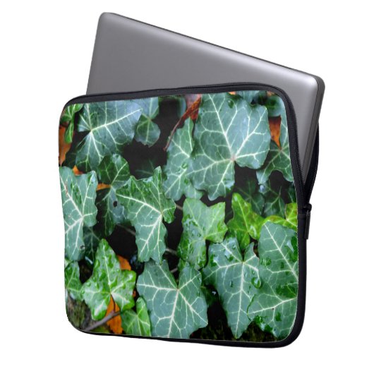 Grüner botanischer See und Felsstein Laptopschutzhülle (Vorderseite Links)