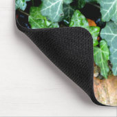 Grüner botanischer See und Felsstein Mousepad (Ecke)