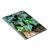 Grüner botanischer See und Felsstein Notizblock (Rechte Seite)