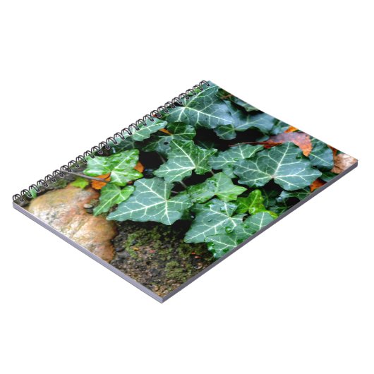 Grüner botanischer See und Felsstein Notizblock (Linke Seite)