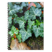 Grüner botanischer See und Felsstein Notizblock (Vorderseite)