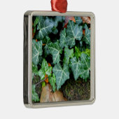 Grüner botanischer See und Felsstein Silbernes Ornament (Rechts)