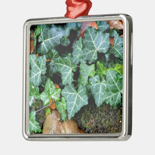 Grüner botanischer See und Felsstein Silbernes Ornament (Links)