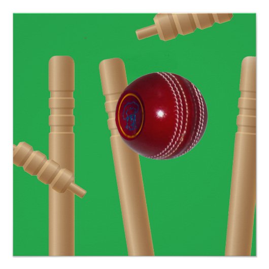 grüner Bowling auf Cricket, Poster (Vorderseite)