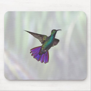 Grüner-breasted Mango-Kolibri Anthracocorax Mousepad
