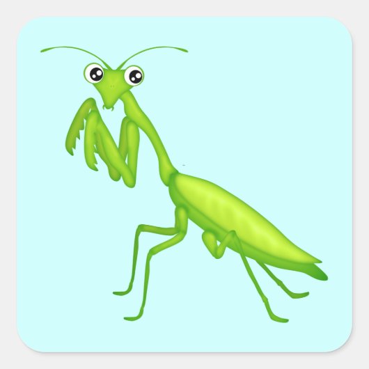 Grüner Cartoon Gebet Mantis-Aufkleber Quadratischer Aufkleber (Vorderseite)