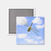 Grüner Darner (Anax junius), der gegen Wolken flie Magnet (Vorderseite/Rückseite)