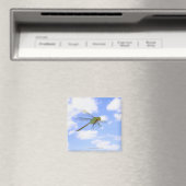 Grüner Darner (Anax junius) gegen Magnet (In Situ (Geschirrspüler))