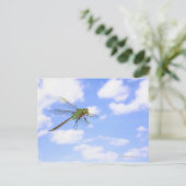 Grüner Darner (Anax junius) gegen Postkarte (Stehend Vorderseite)