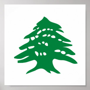 Grüner der Libanon-Zedern-Baum Poster