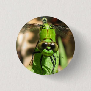 "Grüner Drache-" Öko-Button Button