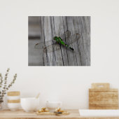 Grüner Drache Poster (Küche)