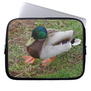 Grüner Duck Neopren Laptop-Sieb, 30 cm Laptopschutzhülle