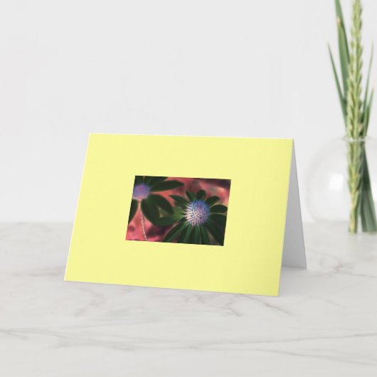 "Grüner Echinacea #1 " Karte (Vorderseite)