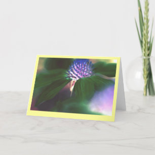 "Grüner Echinacea " Karte