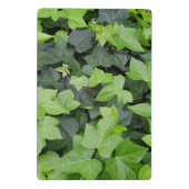 Grüner Efeu Botanischer Druck Mini Klemmbrett (Rückseite)
