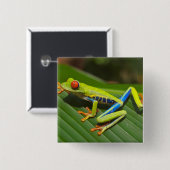 Grüner, farbiger Dschungelbaumfrosch Button (Vorne & Hinten)