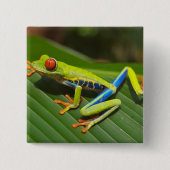 Grüner, farbiger Dschungelbaumfrosch Button (Vorderseite)