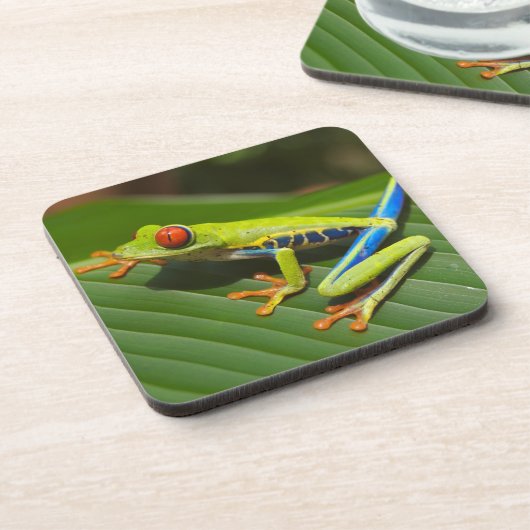 Grüner, farbiger Dschungelbaumfrosch Getränkeuntersetzer (Linke Seite)