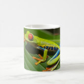 Grüner, farbiger Dschungelbaumfrosch Kaffeetasse (Mittel)