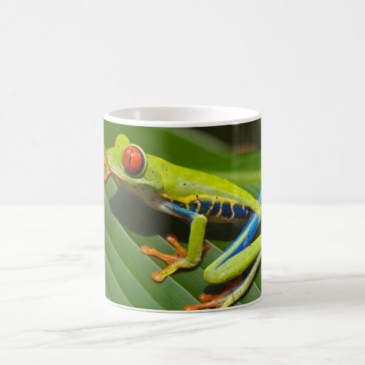 Grüner, farbiger Dschungelbaumfrosch Kaffeetasse (Mittel)