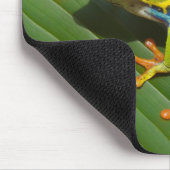 Grüner, farbiger Dschungelbaumfrosch Mousepad (Ecke)