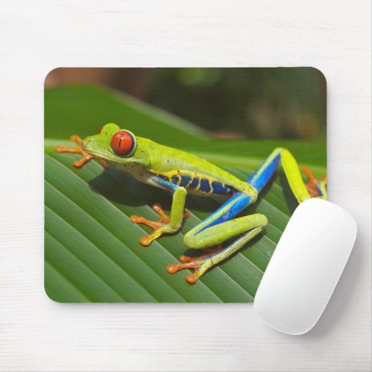 Grüner, farbiger Dschungelbaumfrosch Mousepad (Mit Mouse)