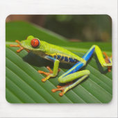 Grüner, farbiger Dschungelbaumfrosch Mousepad (Vorne)