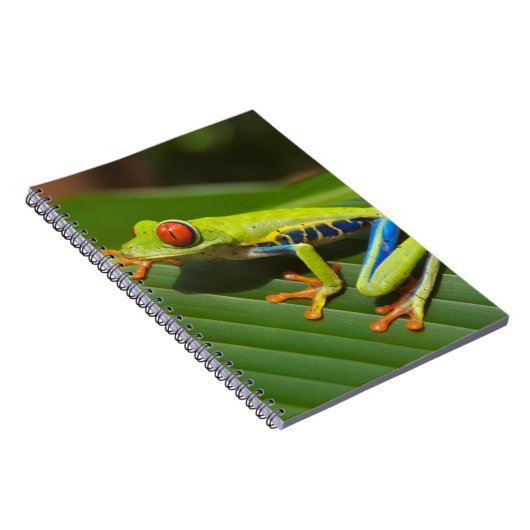 Grüner, farbiger Dschungelbaumfrosch Notizblock (Rechte Seite)