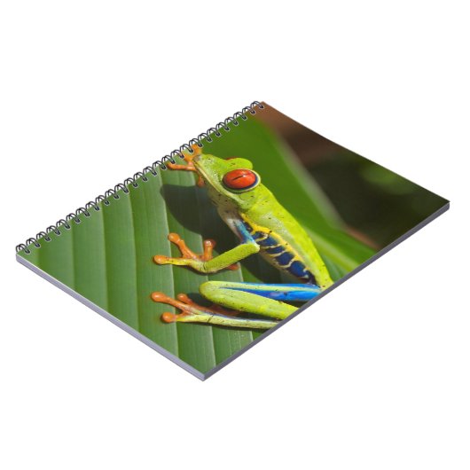 Grüner, farbiger Dschungelbaumfrosch Notizblock (Linke Seite)