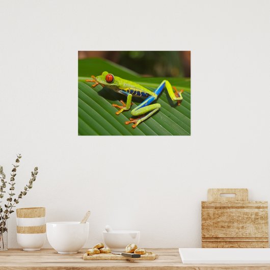 Grüner, farbiger Dschungelbaumfrosch Poster (Küche)