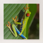 Grüner, farbiger Dschungelbaumfrosch Puzzle (Horizontal)