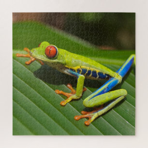 Grüner, farbiger Dschungelbaumfrosch Puzzle