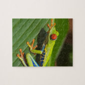 Grüner, farbiger Dschungelbaumfrosch Puzzle (Horizontal)