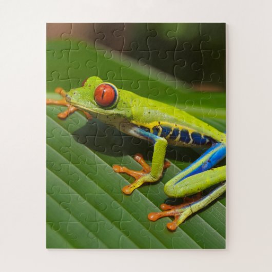 Grüner, farbiger Dschungelbaumfrosch Puzzle (Vertikal)