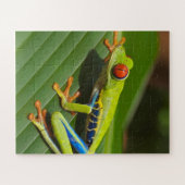 Grüner, farbiger Dschungelbaumfrosch Puzzle (Horizontal)