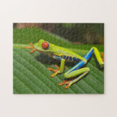 Grüner, farbiger Dschungelbaumfrosch Puzzle (Horizontal)