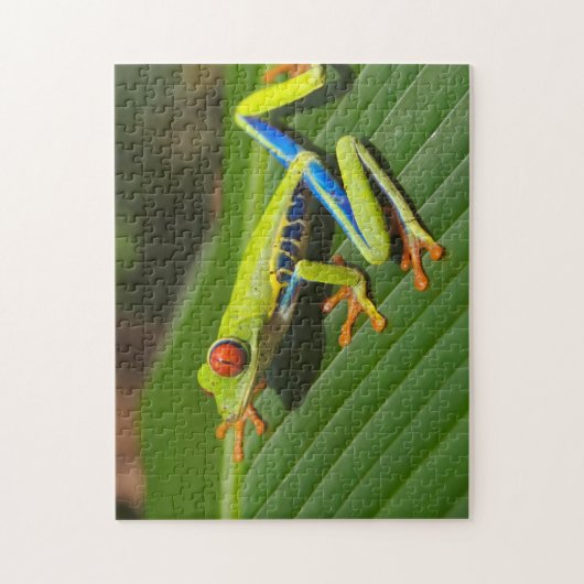 Grüner, farbiger Dschungelbaumfrosch Puzzle (Vertikal)