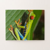 Grüner, farbiger Dschungelbaumfrosch Puzzle (Horizontal)