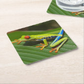 Grüner, farbiger Dschungelbaumfrosch Rechteckiger Pappuntersetzer (angewinkelt)