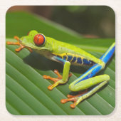 Grüner, farbiger Dschungelbaumfrosch Rechteckiger Pappuntersetzer (Vorderseite)