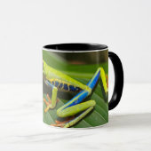 Grüner, farbiger Dschungelbaumfrosch Tasse (VorderseiteRechts)